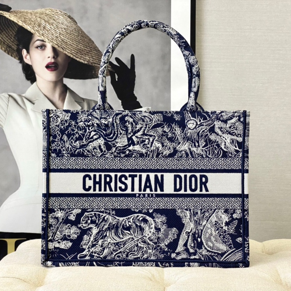 Dior Medium Book Tote Bag